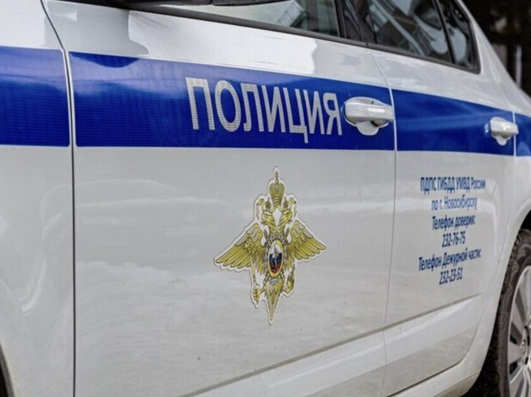 В Новосибирске мужчину с ножами задержали за угрозу общественной безопасности
