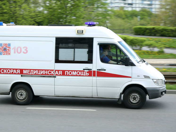 В Подмосковье спасли женщину, которая чуть не погибла после ножевых ранений