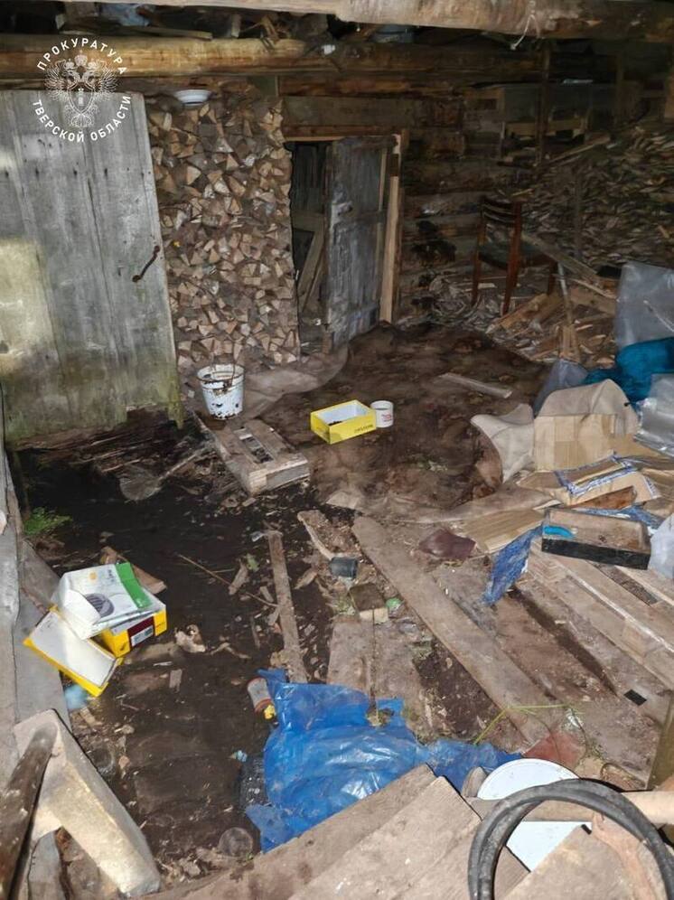 Бастрыкин затребовал доклад о детском "лагере ужасов" в Тверской области