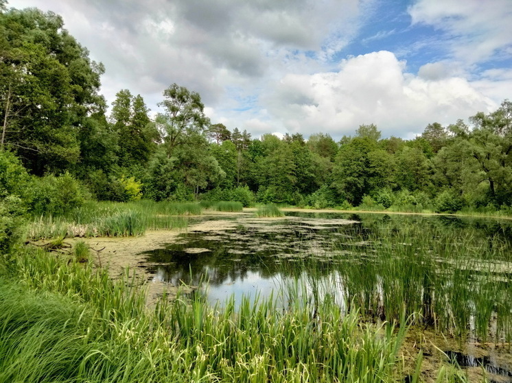В конце июня температура в Марий Эл была на три градуса ниже нормы