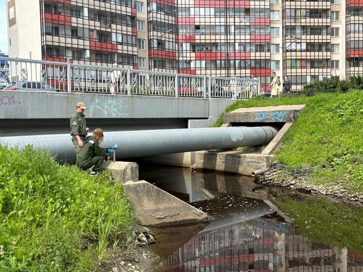 Экологи проверяют качество воды в ручье Кудрово после жалоб жителей