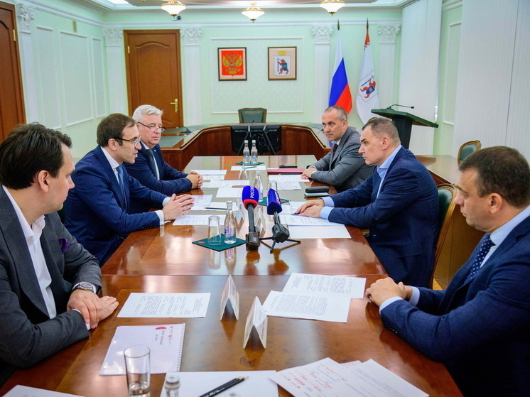 Состоялась встреча Главы Марий Эл и президента ПАО «Элемент»