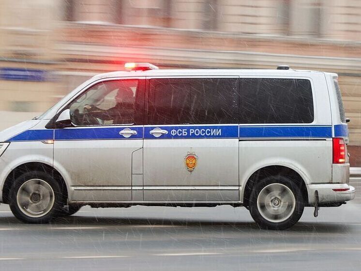 ФСБ показала видео задержания готовившей теракт в Петербурге россиянки