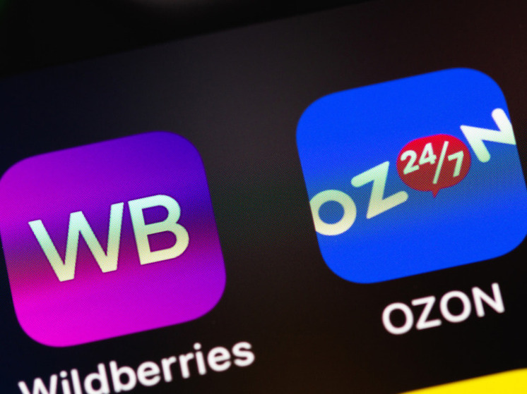 Нижегородцы не могут получить заказы WB и Ozon из-за отсутствия связи