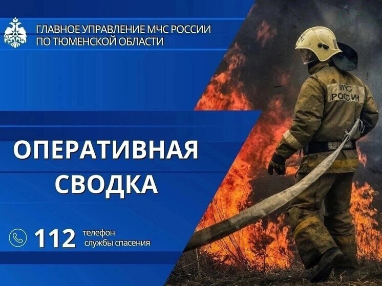 На юге Тюменской области от открытого огня вспыхнул сарай с сеном