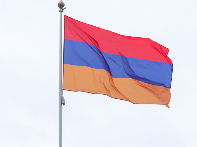 МИД Армении заявил, что страна попросила о полноправном членстве в ШОС