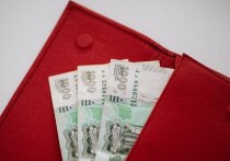 По данным Росстата, в апреле 2025 года Пензенская область показала самый высокий прирост средних номинальных зарплат среди регионов Приволжского федерального округа, достигнув отметки в +20,8% в годовом выражении. 