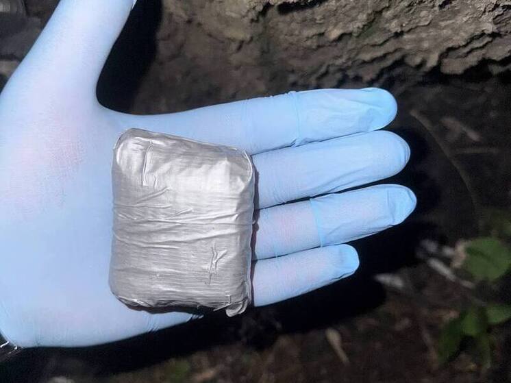 До двадцати лет тюрьмы может получить жительница Донецка за хранение и сбыт наркотиков