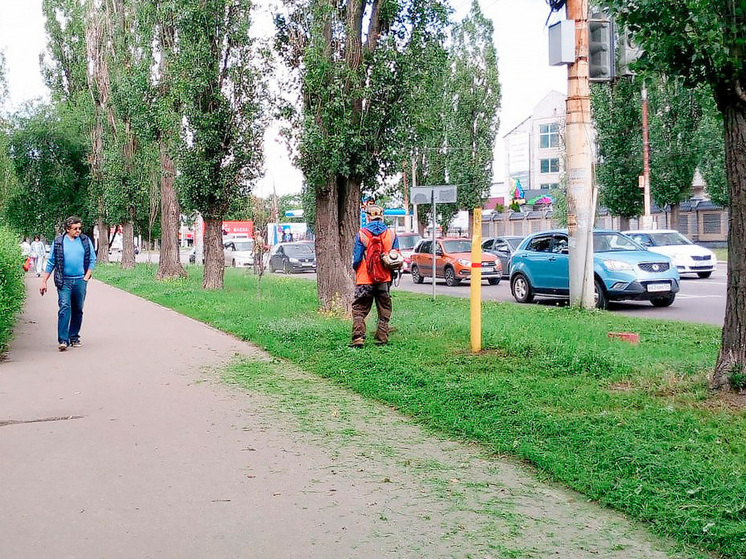 В воронежских районах продолжается активный уход за газонами