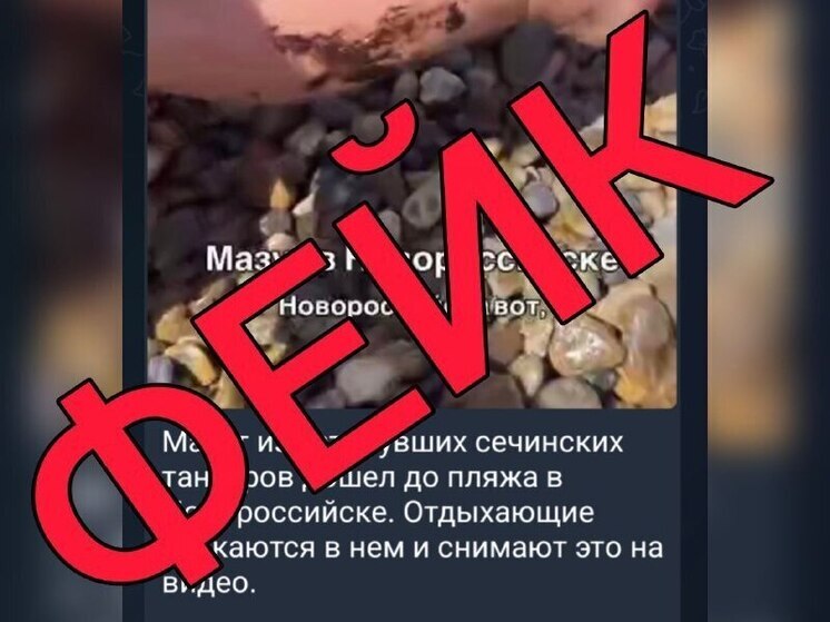 Мазут на пляжах Новороссийска не связан с аварией в Керченском проливе