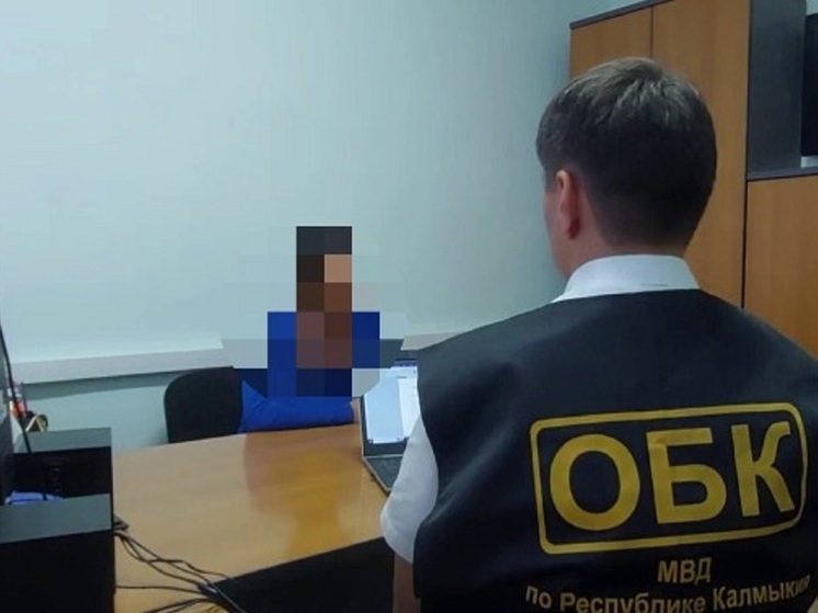 Жительницу Пензы задержали за обман пенсионерки из Калмыкии