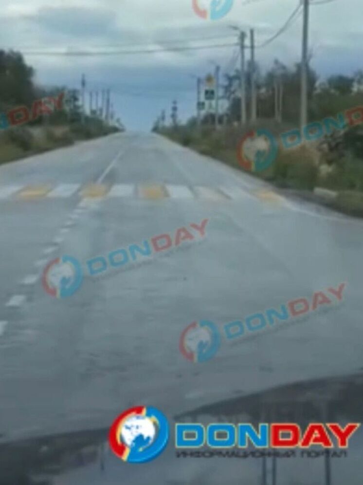 В лесополосе под Ростовом нашли  21 пешеходный переход