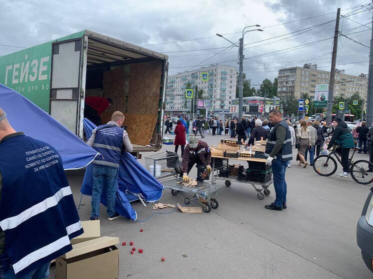 За июнь в Петербурге пресекли 40 правонарушений в 11 районах города