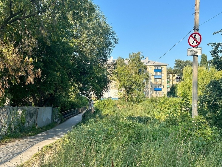 В Липецке начинается строительство нового пешеходного моста в районе «Коллективка»