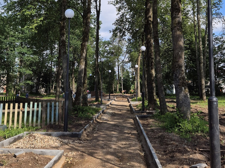 В Крестцах благоустроят Сиреневый парк