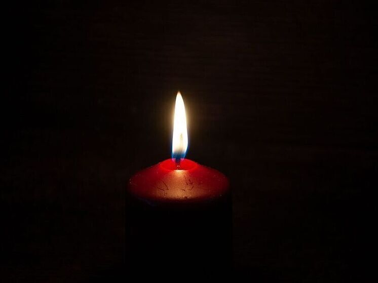 Звезда сериала «Возвращение Мухтара» Шелига скончалась после ухудшения здоровья