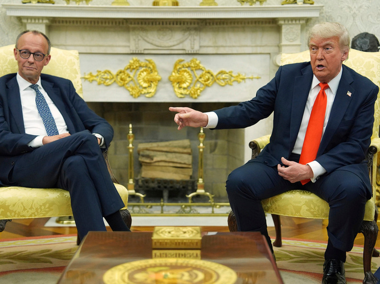 Bild: Мерц хочет заключить оружейную сделку с Трампом для Украины