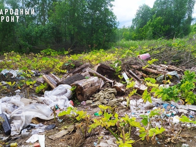 Ярославцы пожаловались на свалку, которая растянулась на километр