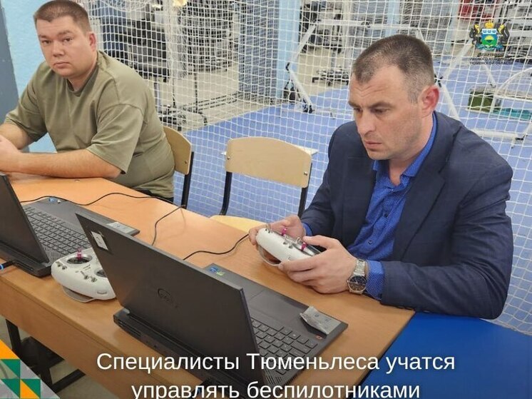 В Тюменской области внедряют современные технологии в лесной отрасли