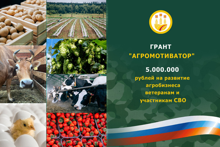 Два участника СВО получат гранты по 5 млн рублей на развитие агробизнеса