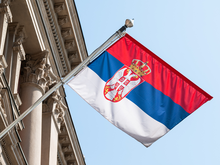 В Парламенте Сербии ответили на обвинения в жестокости к участникам протестов