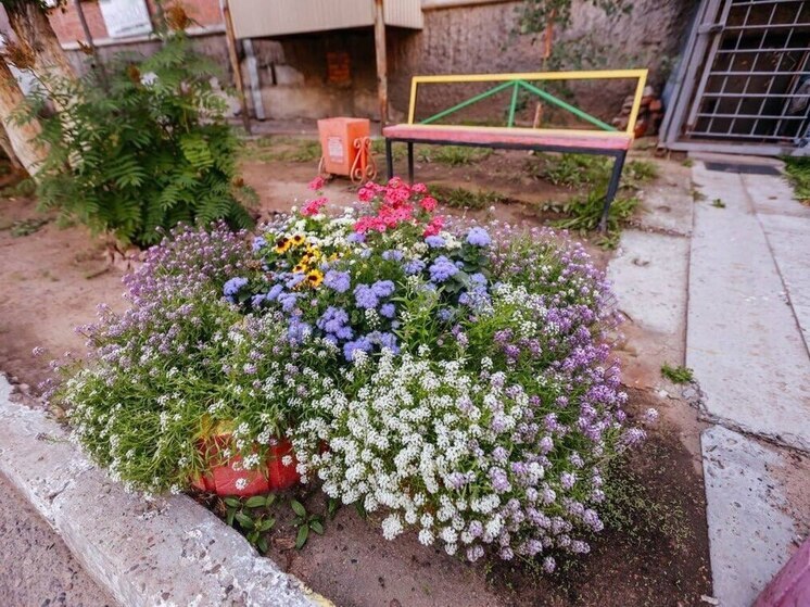 В Улан-Удэ проходит конкурс на лучший дворовой цветник