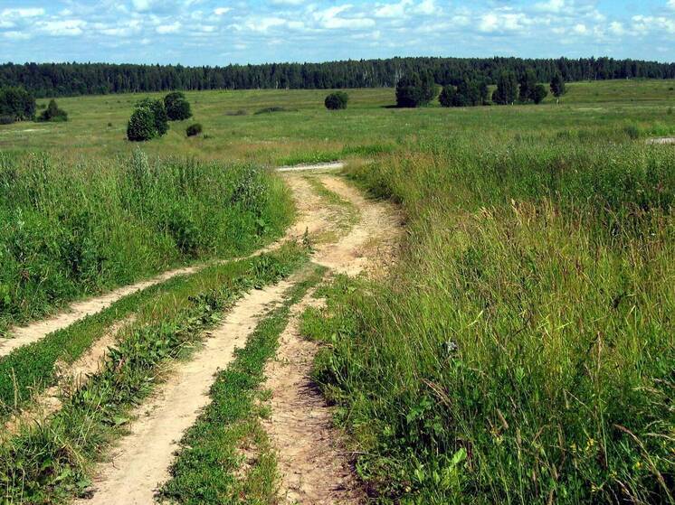 Украинец сбежал из ВСУ и шел 100 км пешком ради сдачи в плен ВС России