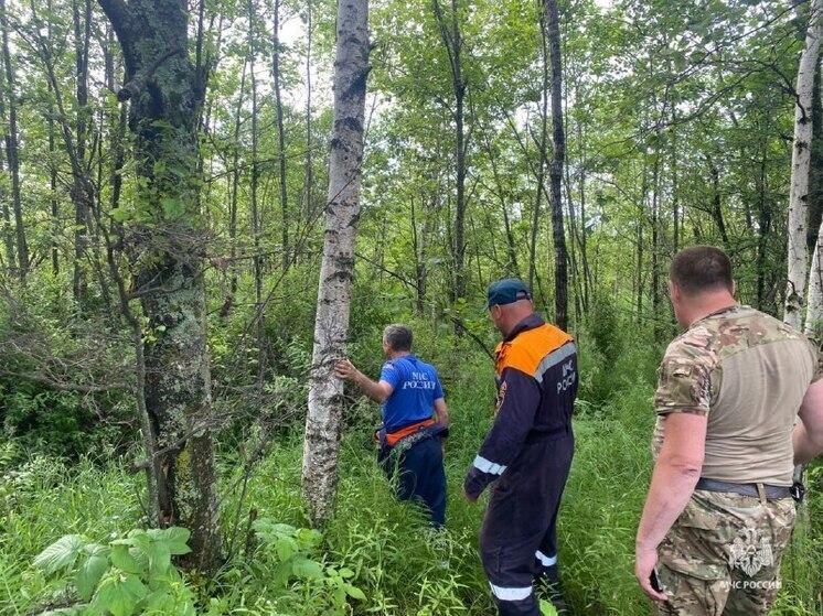 Спасатели предупреждают: история заблудившегося грибника в Хабаровском крае могла закончиться трагедией