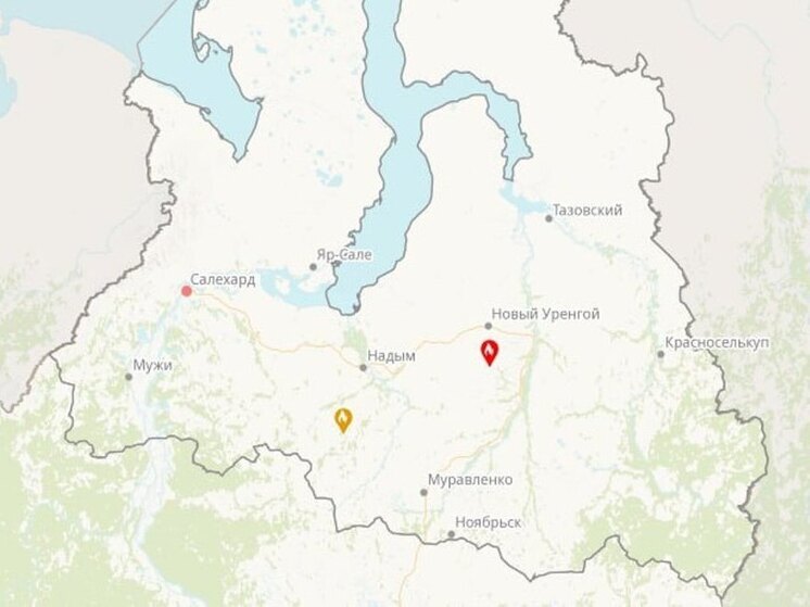 Площадь лесных пожаров в ЯНАО сокращается
