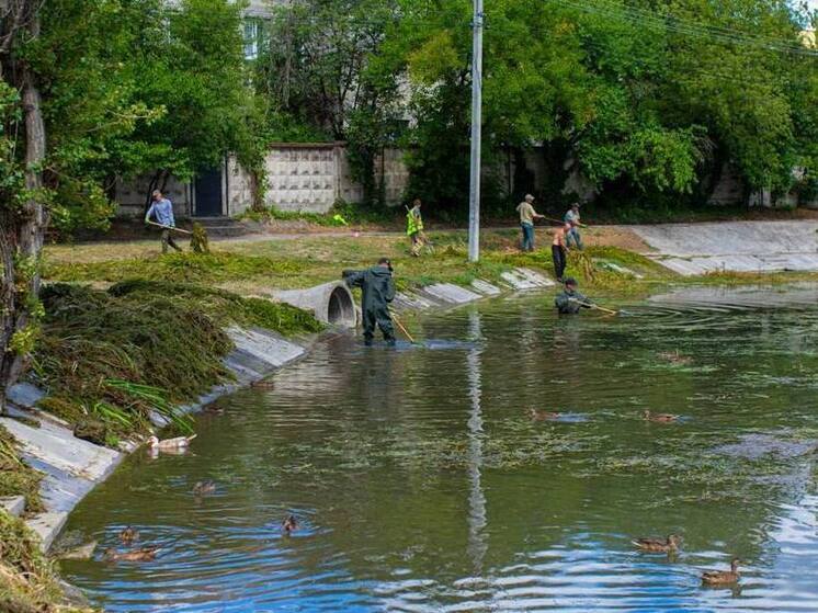 В Симферополе начали работы по очистке Даниловского пруда