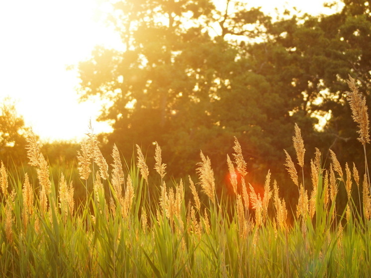 Синоптики: в середине июля придет небывалая аномалия