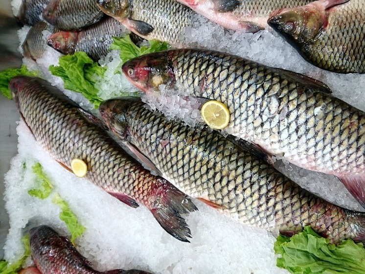 Рыба, в которой находят 10-метровые черви: а мы ее сами едим и детям даем