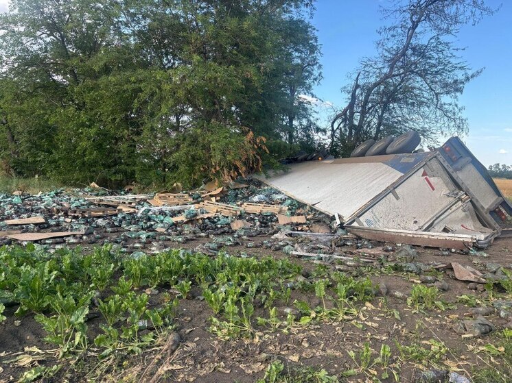 В Гулькевичском районе погиб водитель большегруза