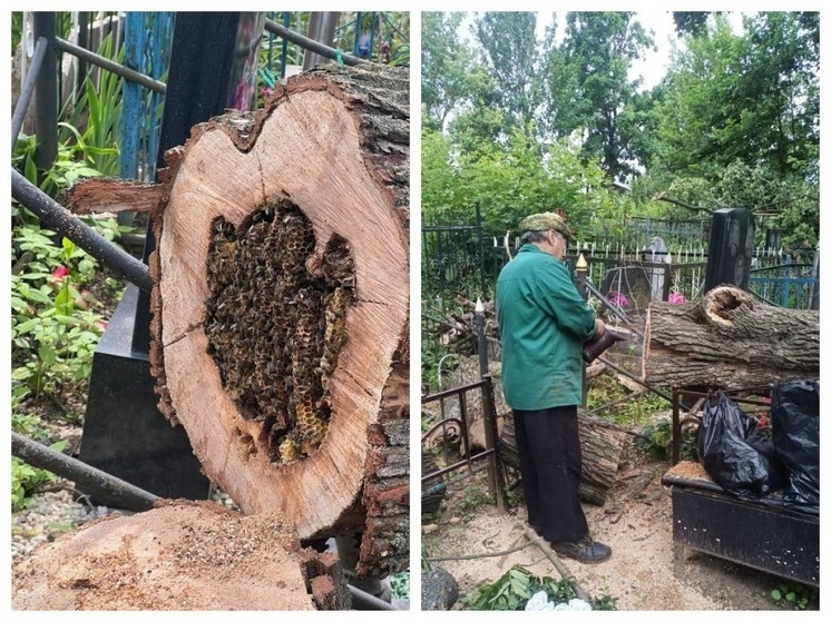 В Орле ритуальщики провели уникальную операцию «Улей»