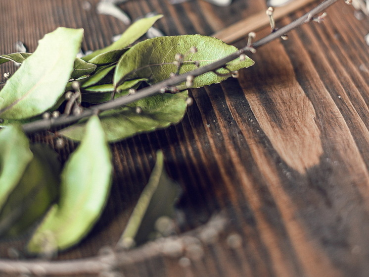 Засыпаю лавровый лист солью и радуюсь результату: невероятно полезный лайфхак против плесени