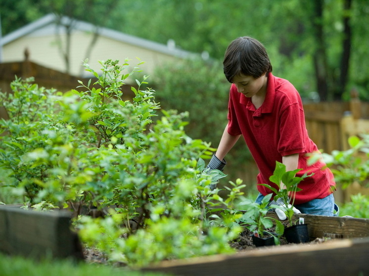 Летний апгрейд дачи: 10 полезных советов для богатого урожая и комфортного отдыха