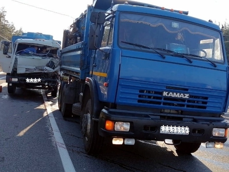 В Курской области столкнулись два КАМАЗа