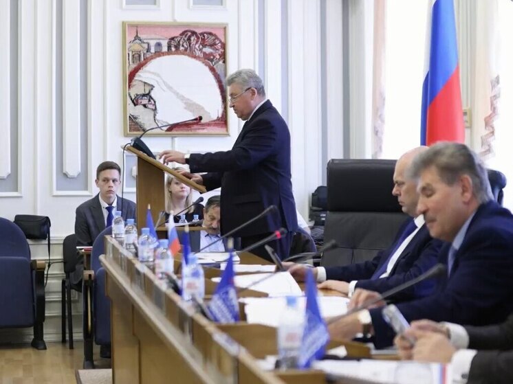 Отчет о деятельности Думы за 2024 год