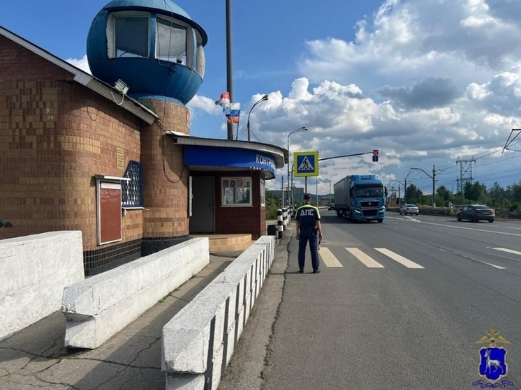Тольяттинские полицейские поймали водителя иномарки с поддельным удостоверением