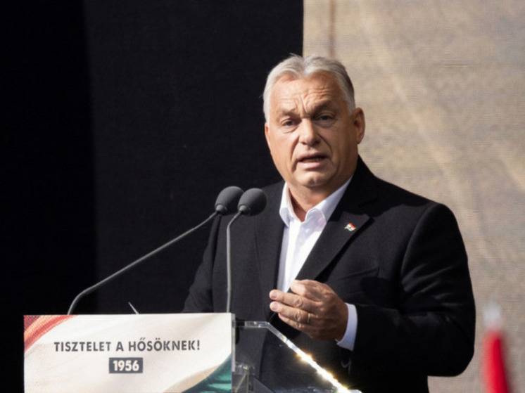 Орбан: спецслужбы Украины пытаются повлиять на выборы в Венгрии