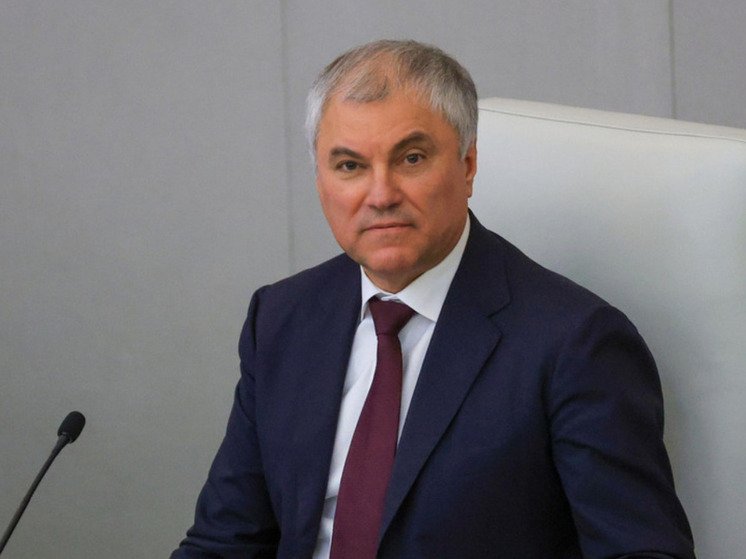 Володин: владельцам магазинов стоит сменить вывески, «не дожидаясь закона»