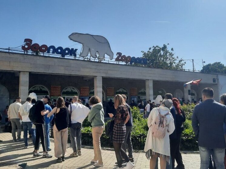 Ленинградский зоопарк приостановил работу из-за непогоды