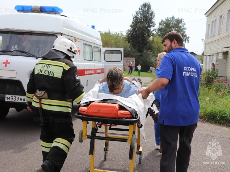 В Орловской области сотрудники МЧС дважды за сутки помогли доставить больных в автомобиль СМП