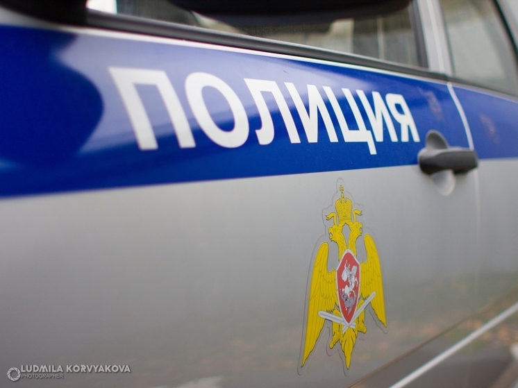 В Сегеже водитель сбил двух девочек