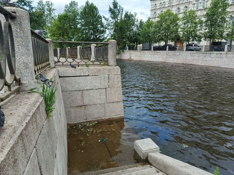 В Петербурге продлили «жёлтый» уровень опасности из-за штормового ветра