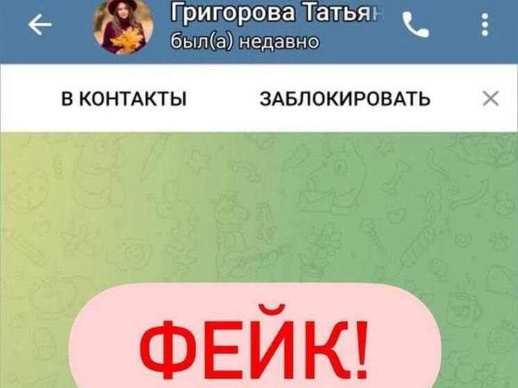 Аферисты создали фейковый аккаунт председателя департамента финансов Липецка