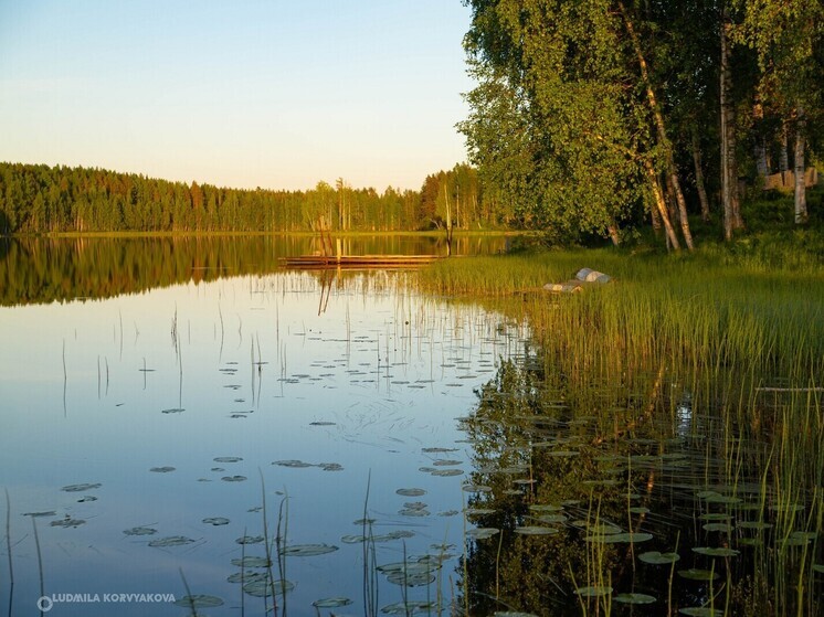 Жителям Карелии напомнили об опасности купания в природных водоёмах