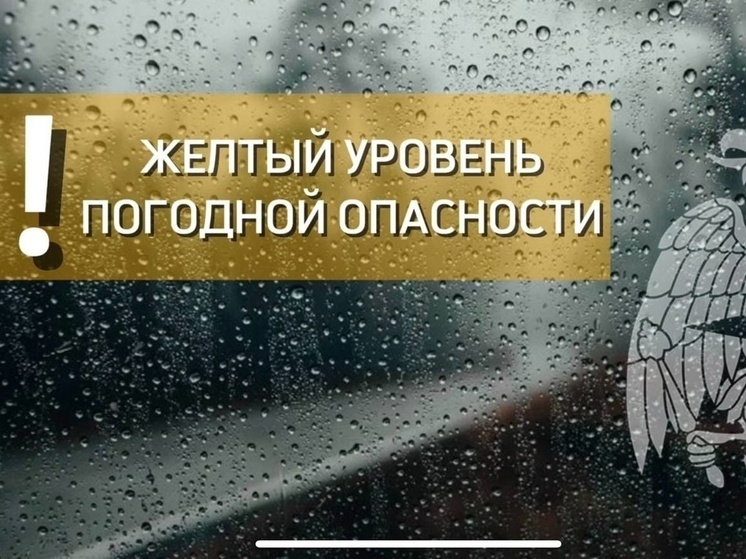 Пензенцы узнали, что нужно делать при ухудшении погодных условий