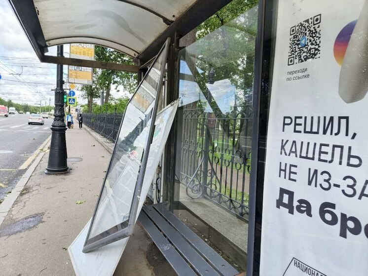 Остановку у Лопухинского сада снесло ветром в Петербурге