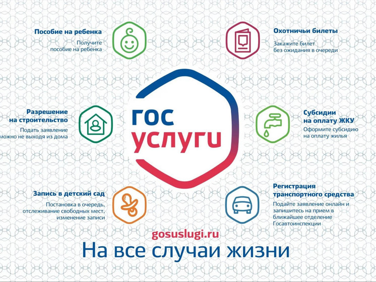 Сроки предоставления госуслуг в Нижегородской области сократят